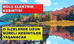 Bolu elektrik kesintisi gün yüzü göstermeyecek! İşte etkilenecek ilçeler... -25 Ekim Bolu elektrik kesintisi