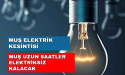 Muş'un tüm ilçeleri elektriğe hasret kalacak! İşte detaylar... -25 Ekim Muş elektrik kesintisi