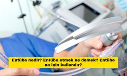 Entübe nedir? Entübe etmek ne demek? Entübe ne için kullanılır?