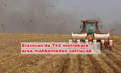 Erzincan’da 742 metrekare arsa mahkemeden satılacak