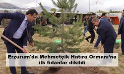 Erzurum'da Mehmetçik Hatıra Ormanı’na ilk fidanlar dikildi