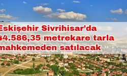 Eskişehir Sivrihisar’da 44.586,35 metrekare tarla mahkemeden satılacak