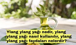 Ylang ylang yağı nedir, ylang ylang yağı nasıl kullanılır, ylang ylang yapı faydaları nelerdir?