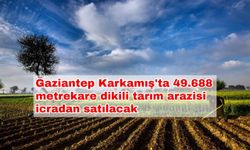 Gaziantep Karkamış'ta 49.688 metrekare dikili tarım arazisi icradan satılacak