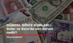 GÜNCEL DÖVİZ KURLARI |  Dolar ve Euro'da son durum nedir?