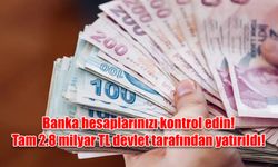 Banka hesaplarınızı kontrol edin! Tam 2.8 milyar TL devlet tarafından yatırıldı!