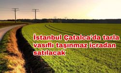 İstanbul Çatalca'da tarla vasıflı taşınmaz icradan satılacak