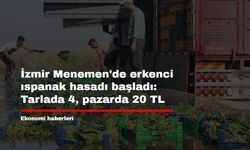 İzmir Menemen'de erkenci ıspanak hasadı başladı: Tarlada 4, pazarda 20 TL