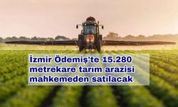İzmir Ödemiş'te 15.280 metrekare tarım arazisi mahkemeden satılacak