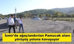 İzmir'de ağaçlandırılan Pamucak alanı yürüyüş yoluna kavuşuyor