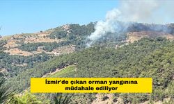 İzmir'de feci orman yangını!