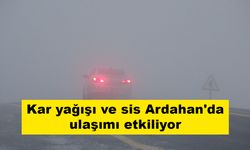 Kar yağışı ve sis Ardahan'da ulaşımı etkiliyor