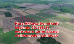Kars Akkaya Demirkent köyünde 30.118,31 metrekare tarım arazisi mahkemeden satılacak