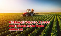 Kırklareli Vize'de 13.645 metrekare tarla ihale edilecek