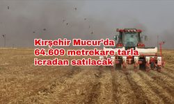 Kırşehir Mucur'da 64.609 metrekare tarla icradan satılacak