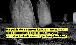 Kırşehir'de resmen kabusu yaşadılar... Kötü kokunun peşini bırakmayan şahıslar bebek cesediyle karşılaştılar!