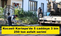 Kocaeli Kartepe'de 5 caddeye 3 bin 250 ton asfalt serimi