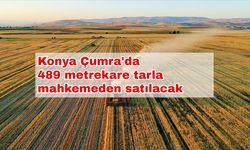 Konya Çumra'da 489 metrekare tarla mahkemeden satılacak