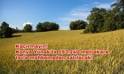 Kaçırmayın! Konya Yunak’ta 193.240 metrekare tarla mahkemeden satılacak!