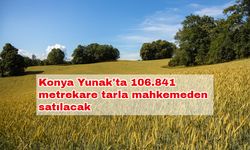 Konya Yunak'ta 106.841 metrekare tarla mahkemeden satılacak