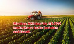 Manisa Akhisar'da 46.900 metrekare tarla icradan satılacak