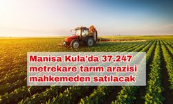 Manisa Kula'da 37.247 metrekare tarım arazisi mahkemeden satılacak