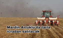 Mardin Artuklu'da tarla icradan satılacak