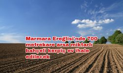 Marmara Ereğlisi'nde 700 metrekare arsa miktarlı bahçeli kerpiç ev ihale edilecek