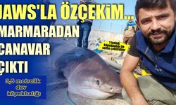Marmaradan canavar çıktı! 1 tonluk köpekbalığı ile fotoğraf çekindiler