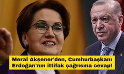 Meral Akşener'den, Cumhurbaşkanı Erdoğan'nın ittifak çağrısına cevap!