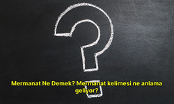 Mermanat Ne Demek? Mermanat kelimesi ne anlama geliyor?