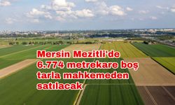 Mersin Mezitli'de 6.774 metrekare boş tarla mahkemeden satılacak