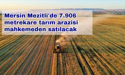 Mersin Mezitli'de 7.906 metrekare tarım arazisi mahkemeden satılacak