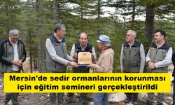 Mersin'de sedir ormanlarının korunması için eğitim semineri gerçekleştirildi