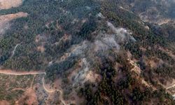 Muğla Köyceğiz'de 3 hektar orman yandı