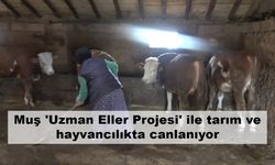 Muş 'Uzman Eller Projesi' ile tarım ve hayvancılıkta canlanıyor