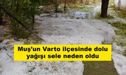 Muş’un Varto ilçesinde dolu yağışı sele neden oldu
