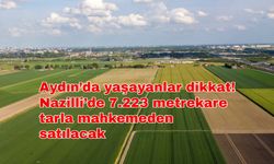 Aydın’da yaşayanlar dikkat! Nazilli’de 7.223 metrekare tarla mahkemeden satılacak