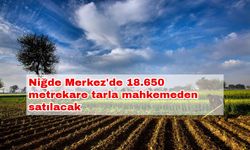 Niğde Merkez'de 18.650 metrekare tarla mahkemeden satılacak