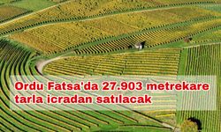 Ordu Fatsa'da 27.903 metrekare tarla icradan satılacak