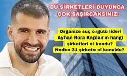 Organize suç örgütü lideri Ayhan Bora Kaplan'ın hangi şirketleri el kondu? Neden 31 şirkete el konuldu?