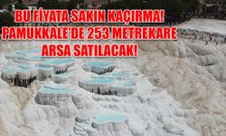 Bu fiyata yok... Denizli Pamukkale'de 253 metrekare arsa mahkemeden satılacak