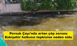 Porsuk Çayı'nda artan çöp sorunu Eskişehir halkının tepkisine neden oldu