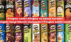 Pringles nedir? Pringles ne zaman kuruldu? Pringles hangi ülkenin markasıdır? Pringles sahibi kimdir?