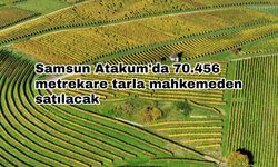 Samsun Atakum'da 70.456 metrekare tarla mahkemeden satılacak