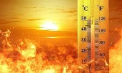 Araştırmacılar ölümcül sıcakların nedenini açıkladı: Sıcakların artması neden olur?