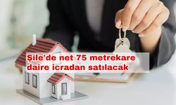 Şile'de net 75 metrekare daire icradan satılacak