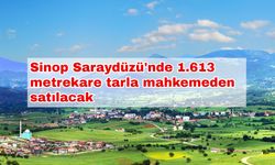 Sinop Saraydüzü'nde 1.613 metrekare tarla mahkemeden satılacak