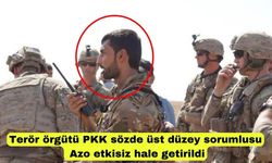 Terör örgütü PKK sözde üst düzey sorumlusu Azo etkisiz hale getirildi