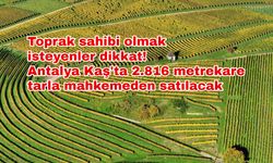 Toprak sahibi olmak isteyenler dikkat! Antalya Kaş'ta 2.816 metrekare tarla mahkemeden satılacak